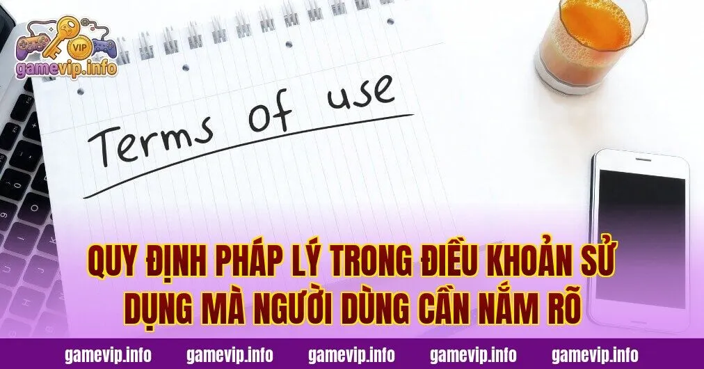Quy định pháp lý trong điều khoản sử dụng mà người dùng cần nắm rõ