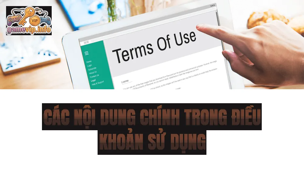 Các nội dung chính trong điều khoản sử dụng